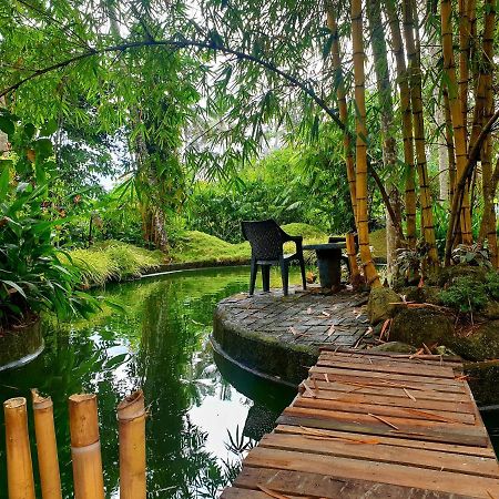 Amritham Holidays Homestay Trivandrum 特里凡得琅 外观 照片