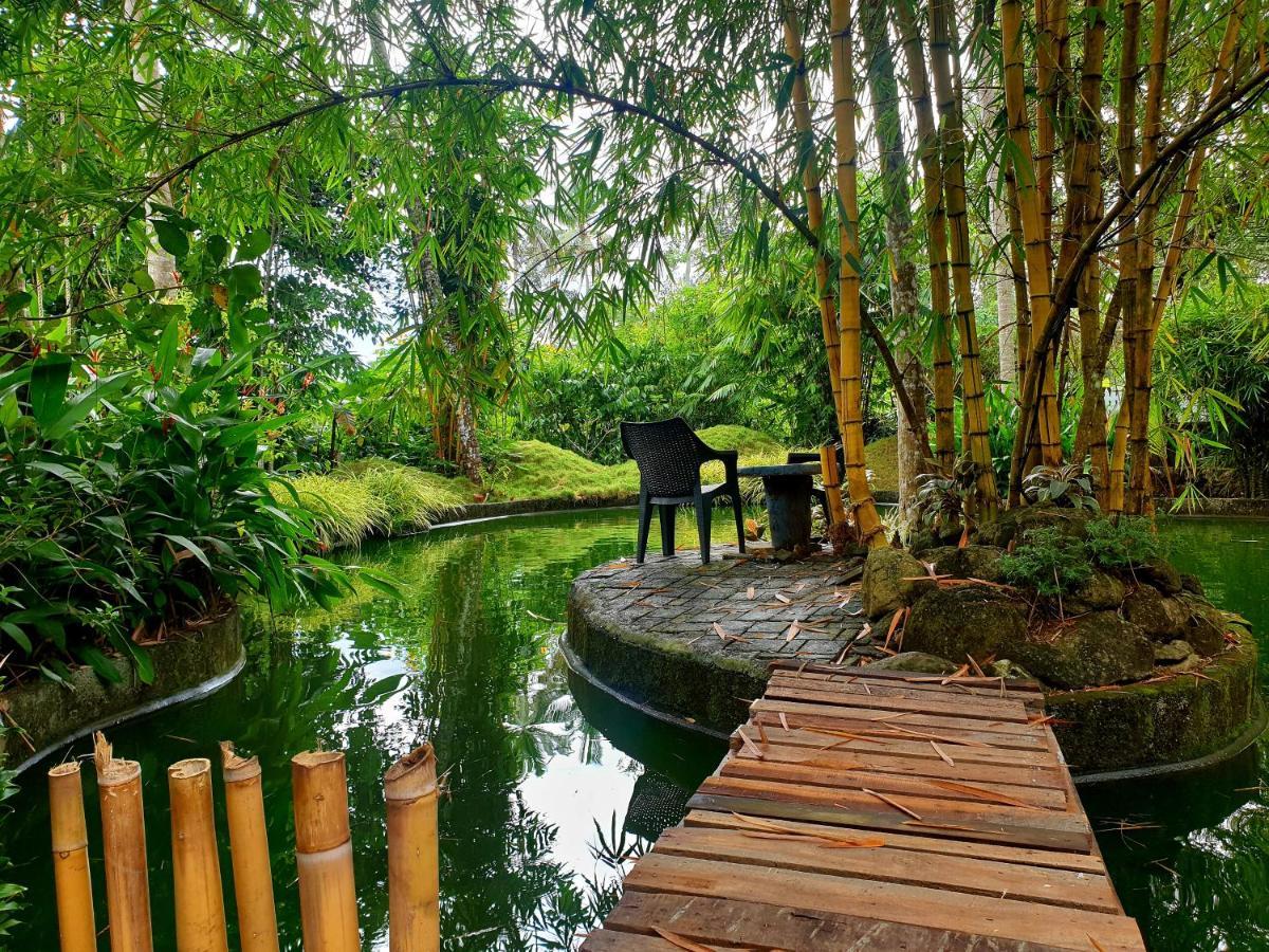 Amritham Holidays Homestay Trivandrum 特里凡得琅 外观 照片