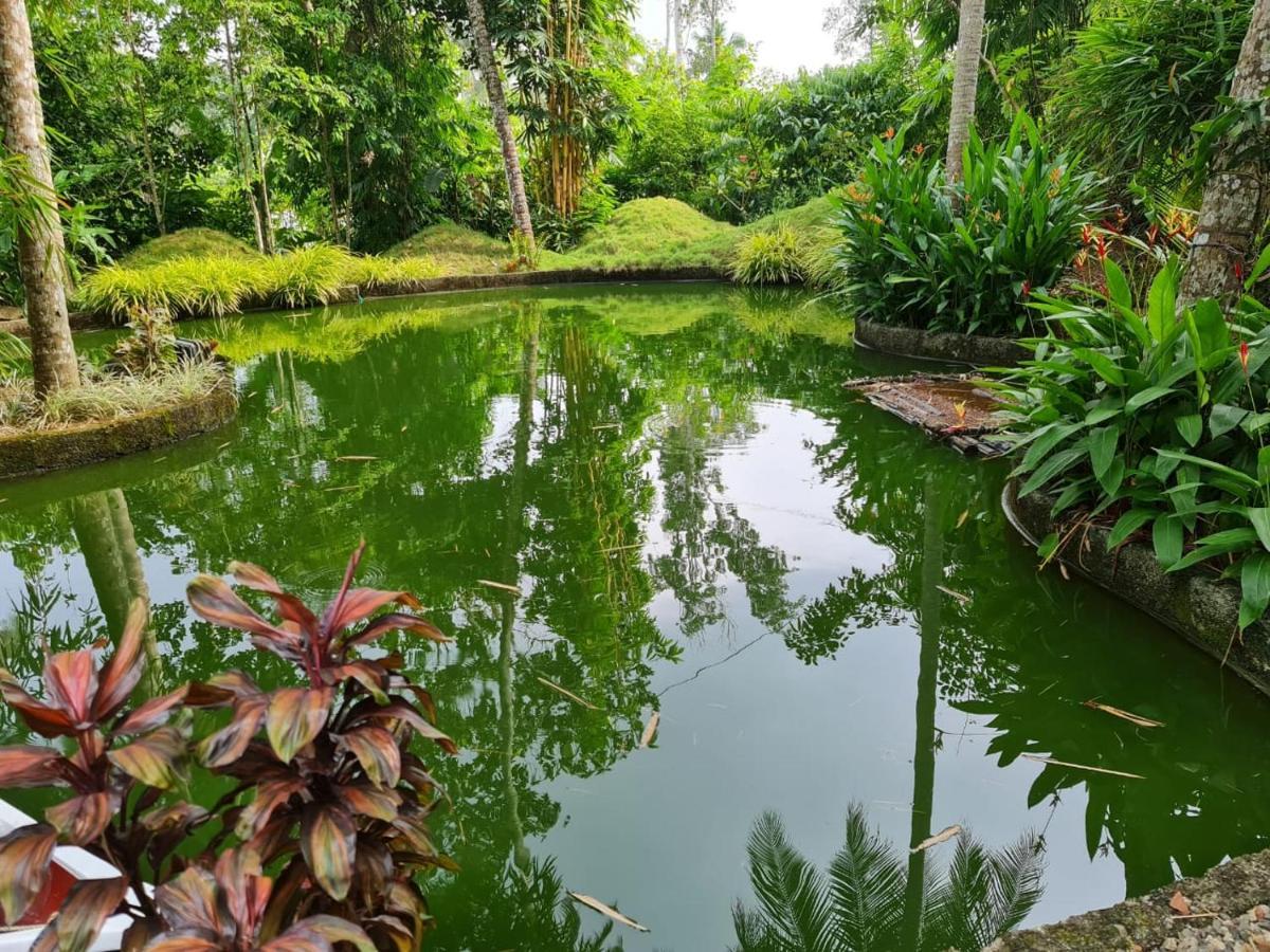 Amritham Holidays Homestay Trivandrum 特里凡得琅 外观 照片