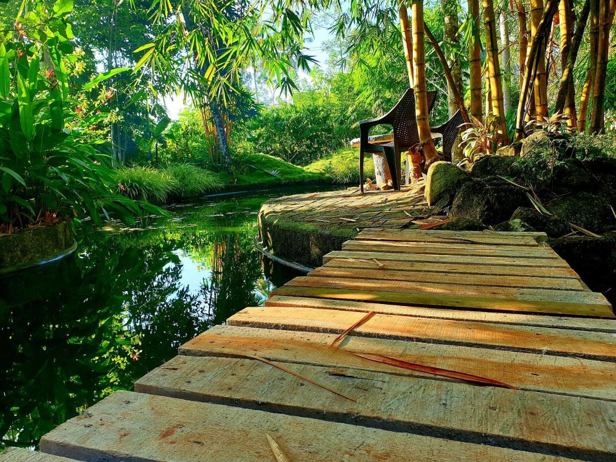 Amritham Holidays Homestay Trivandrum 特里凡得琅 外观 照片