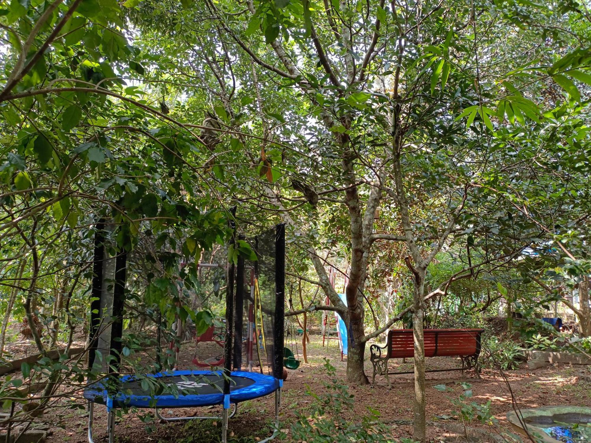 Amritham Holidays Homestay Trivandrum 特里凡得琅 外观 照片