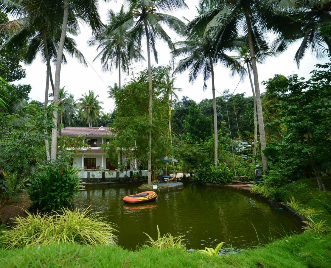 Amritham Holidays Homestay Trivandrum 特里凡得琅 外观 照片